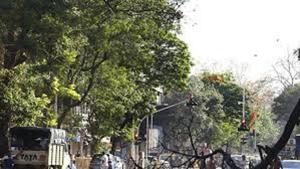 Yash Desai was killed after a branch of the tree fell on him outside Jeevan Sudha Society on Saturday.(HT File Photo) Yash Desai was killed after a branch of the tree fell on him outside Jeevan Sudha Society on Saturday.(HT File Photo)