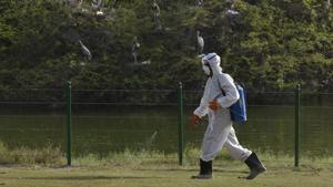 Delhi zoo witnessed an avian flu outbreak in 2016.(HT/File Photo) Delhi zoo witnessed an avian flu outbreak in 2016.(HT/File Photo)