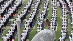 A bird looks on as people practise yoga at SMS Stadium in Jaipur on Thursday.(Himanshu Vyas/HT) A bird looks on as people practise yoga at SMS Stadium in Jaipur on Thursday.(Himanshu Vyas/HT)