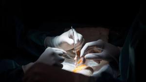 The heart reached Fortis hospital at 3:24pm, one hour and thirty-four minutes after it was retrieved at 1:50 pm in Aurangabad on Friday.(AFP File Photo/Representative image) The heart reached Fortis hospital at 3:24pm, one hour and thirty-four minutes after it was retrieved at 1:50 pm in Aurangabad on Friday.(AFP File Photo/Representative image)