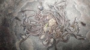 Snakebite deaths, declared as state-specific disaster, account for about 37% of the total number of disaster deaths in the state. More than 1,700 people have died of snakebites in the last three years.(HT Photo) Snakebite deaths, declared as state-specific disaster, account for about 37% of the total number of disaster deaths in the state. More than 1,700 people have died of snakebites in the last three years.(HT Photo)