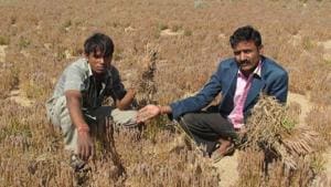 The centre should remove the insurance companies and pay the crop damages to farmers like it was doing earlier, but after removing corruption in the agriculture department, said Vivekanand Mathne, the RKSS convener(HT File) The centre should remove the insurance companies and pay the crop damages to farmers like it was doing earlier, but after removing corruption in the agriculture department, said Vivekanand Mathne, the RKSS convener(HT File)