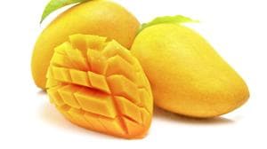 Mango is good for diabetes? Your diabetes diet should contain sufficient amount of mangoes since they have many health benefits: the fruit is a good source of fibre and contain about two-thirds of the daily recommended amount of Vitamin C.(Getty Images/iStockphoto) Mango is good for diabetes? Your diabetes diet should contain sufficient amount of mangoes since they have many health benefits: the fruit is a good source of fibre and contain about two-thirds of the daily recommended amount of Vitamin C.(Getty Images/iStockphoto)