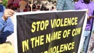 Activists stage protest against cow vigilantes.(HT File Photo) Activists stage protest against cow vigilantes.(HT File Photo)