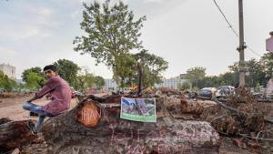 An activist sits on a tree log as he takes part in 'Delhi For Trees' campaign to save trees, at Netaji Nagar in New Delhi on Saturday, June 30, 2018.(PTI) An activist sits on a tree log as he takes part in 'Delhi For Trees' campaign to save trees, at Netaji Nagar in New Delhi on Saturday, June 30, 2018.(PTI)