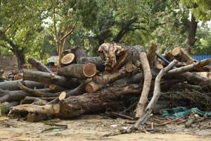 Trees chopped off at an under-construction site of the Ministry of Trade and Commerce at Akbar Road, in New Delhi.(Burhaan Kinu/HT Photo) Trees chopped off at an under-construction site of the Ministry of Trade and Commerce at Akbar Road, in New Delhi.(Burhaan Kinu/HT Photo)
