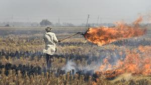 A farmer in Karnal setting crop residue on fire.(Burhaan Kinu / HT File Photo) A farmer in Karnal setting crop residue on fire.(Burhaan Kinu / HT File Photo)