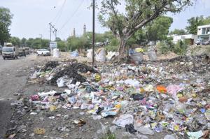 “The system of waste collection and disposal has collapsed and Lucknow may be hit by diseases in the rainy season as a good percentage of filth is being dumped in the city itself.”(HT Photo) “The system of waste collection and disposal has collapsed and Lucknow may be hit by diseases in the rainy season as a good percentage of filth is being dumped in the city itself.”(HT Photo)