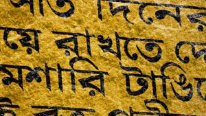 The Trinamool Congress has not officially spoken in favour of Bangla Pokkho, presumably because it does not want to antagonise Hindi-speaking voters.(Representative image/Shutterstock) The Trinamool Congress has not officially spoken in favour of Bangla Pokkho, presumably because it does not want to antagonise Hindi-speaking voters.(Representative image/Shutterstock)