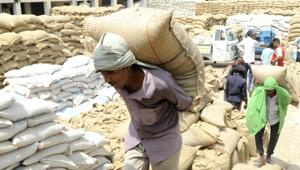 Reports revealed that out of 831562.30 quintal wheat purchased in Allahabad district, 45877.50 quintal was still lying under the open sky in wheat purchase centres in 20 development blocks of the district.(HT Photo) Reports revealed that out of 831562.30 quintal wheat purchased in Allahabad district, 45877.50 quintal was still lying under the open sky in wheat purchase centres in 20 development blocks of the district.(HT Photo)