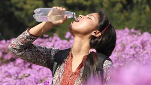 How much water do you need to drink: If you keep your body properly hydrated, all the toxins, bodily wastes and germs will be flushed out of your system.(Bharat Bhushan/HT Photo) How much water do you need to drink: If you keep your body properly hydrated, all the toxins, bodily wastes and germs will be flushed out of your system.(Bharat Bhushan/HT Photo)