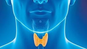Thyroid problem: Health experts say that thyroid imbalance disorders afflict more women than men.(Shutterstock) Thyroid problem: Health experts say that thyroid imbalance disorders afflict more women than men.(Shutterstock)