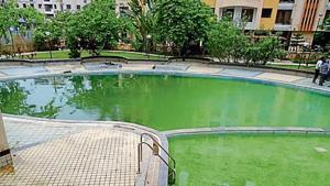 The pool had not been used for six months and was flooded with rain water, said residents.(HT Photo) The pool had not been used for six months and was flooded with rain water, said residents.(HT Photo)