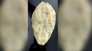The visitor stole a replica of the ancient Olduvai Handaxe, an invention that dates back 1.5 million years.(HT Photo)