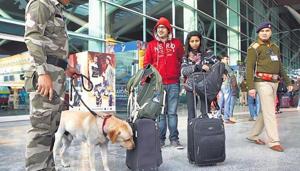 A CISF sniffer dog checks baggage at the Indira Gandhi International Airport in New Delhi.(HT File Photo)
