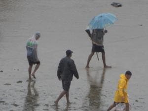 Five persons remanded in police custody for their alleged involvement in flamingo poaching at Malad-Marwe mangroves last week.(Ht Photo)