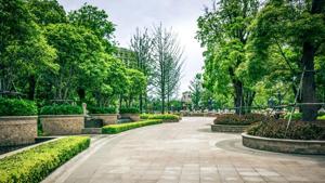 Dilapidated and vacant spaces are factors that put residents at an increased risk of depression and stress. Greening vacant land is a highly inexpensive and scalable way to improve cities and enhance people’s health.(Shutterstock) Dilapidated and vacant spaces are factors that put residents at an increased risk of depression and stress. Greening vacant land is a highly inexpensive and scalable way to improve cities and enhance people’s health.(Shutterstock)
