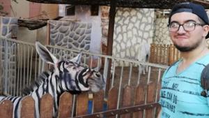 Mahmoud Sarhan spotted the two strange-looking zebras with long pointy ears at the International Garden municipal park.(Mahmoud Sarhan/ Facebook) Mahmoud Sarhan spotted the two strange-looking zebras with long pointy ears at the International Garden municipal park.(Mahmoud Sarhan/ Facebook)