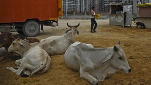 Minister Mauvin Godinho said vested interests were trying to project that the BJP government was against eating the meat.(AP File Photo) Minister Mauvin Godinho said vested interests were trying to project that the BJP government was against eating the meat.(AP File Photo)