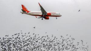 Israel’s High Court of Justice had urged El Al to drop the petition it filed in March this year, days after Air India’s inaugural flight landed in Tel Aviv on March 22.(PTI Photo) Israel’s High Court of Justice had urged El Al to drop the petition it filed in March this year, days after Air India’s inaugural flight landed in Tel Aviv on March 22.(PTI Photo)