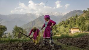 Nearly 90% of farmers are small and marginal. The average size of a farm is now just 1.15 hectares(ha). 85% of land ownership is of less than 2 ha, only 5% farmers operate on land bigger than 4 ha.(AP file photo) Nearly 90% of farmers are small and marginal. The average size of a farm is now just 1.15 hectares(ha). 85% of land ownership is of less than 2 ha, only 5% farmers operate on land bigger than 4 ha.(AP file photo)