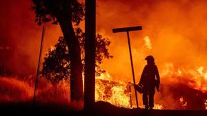 A firefighter lights backfires during the Carr fire in Redding, California on July 27.(AFP Photo) A firefighter lights backfires during the Carr fire in Redding, California on July 27.(AFP Photo)