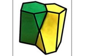 The name scutoid is a reference to its similarity to the scutellum, the lowest most segment of an insect’s thorax, the midsection.(www.nature.com)