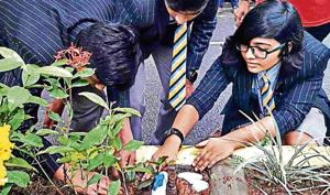 The drive was conducted at NES School, Mulund, last week.(HT Photo) The drive was conducted at NES School, Mulund, last week.(HT Photo)