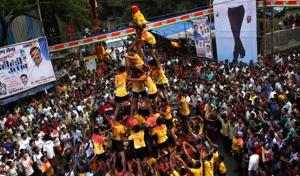 Last year, the court removed height restrictions on human pyramids and allowed participants as young as 14 years to take part.(HT File Photo)