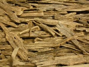 HT had reported that 525 kg of agarwood was seized in the state in seven months HT had reported that 525 kg of agarwood was seized in the state in seven months