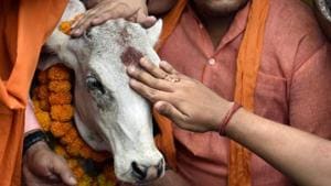 he initiative has been taken to distinguish genuine gau rakshaks from ruffians who resort to violence in the name of cow protection.(HT PHOTO) he initiative has been taken to distinguish genuine gau rakshaks from ruffians who resort to violence in the name of cow protection.(HT PHOTO)