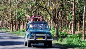 Tourists enjoy jungle safari at Corbett Tiger Reserve in Ramnagar.(HT File) Tourists enjoy jungle safari at Corbett Tiger Reserve in Ramnagar.(HT File)