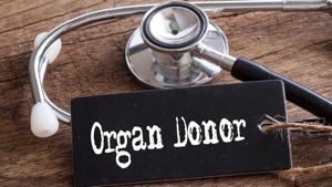 The UK government’s proposal aims to address the low levels of organ donation among black, Asian and minority ethnic people, including Indian-orgin communities.(Shutterstock/Representative image) The UK government’s proposal aims to address the low levels of organ donation among black, Asian and minority ethnic people, including Indian-orgin communities.(Shutterstock/Representative image)
