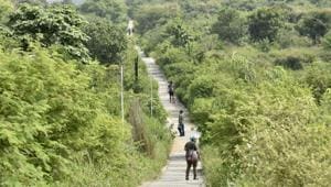 File photo of Aravali Biodiversity Park in Gurgaon.(Sanjeev Verma/HT File Photo) File photo of Aravali Biodiversity Park in Gurgaon.(Sanjeev Verma/HT File Photo)