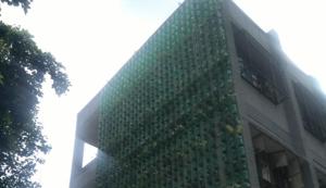 A vertical garden at a North Corporation’s primary school at Miradard Road.(HT Photo) A vertical garden at a North Corporation’s primary school at Miradard Road.(HT Photo)