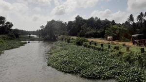 Ernakulam district administration officials said relief camps have been opened in Choornikkara and Kombanad villages as it is anticipated that the release of water may cause inundation in these areas.(HT File Photo/Representative image) Ernakulam district administration officials said relief camps have been opened in Choornikkara and Kombanad villages as it is anticipated that the release of water may cause inundation in these areas.(HT File Photo/Representative image)