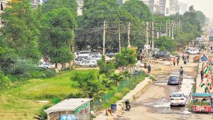 The tree will be felled under the ‘strict supervision’ of the state forest department.(Yogesh Kumar/HT PHOTO) The tree will be felled under the ‘strict supervision’ of the state forest department.(Yogesh Kumar/HT PHOTO)