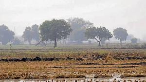 Land for the proposed airport project in Jewar.(HT Photo) Land for the proposed airport project in Jewar.(HT Photo)