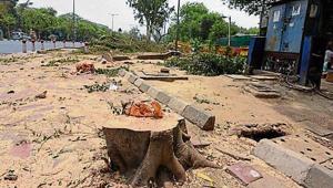 Delhi high court refused to give permission to resume construction at south Delhi’s Nauroji Nagar.(HT Photo) Delhi high court refused to give permission to resume construction at south Delhi’s Nauroji Nagar.(HT Photo)