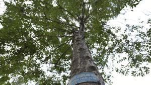 An informal discussion with the Delhi Development Authority (DDA) for transferring a 10-acre land near Yamuna for growing trees has already taken place.(Sanchit Khanna/HT PHOTO) An informal discussion with the Delhi Development Authority (DDA) for transferring a 10-acre land near Yamuna for growing trees has already taken place.(Sanchit Khanna/HT PHOTO)
