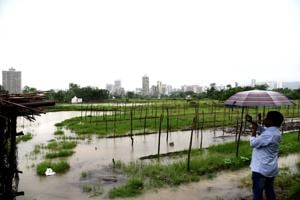 The Kharghar land was given to Koyna project-affected persons who later sold it to a builder(HT Photo) The Kharghar land was given to Koyna project-affected persons who later sold it to a builder(HT Photo)