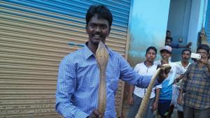 A snake handler with a cobra he caught in Ernakulam after Kerala floods.(HT Photo) A snake handler with a cobra he caught in Ernakulam after Kerala floods.(HT Photo)