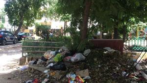 Garbage dump in Block C of Sushant Lok-1, Gurugram, August 26, 2018.(HT Photo) Garbage dump in Block C of Sushant Lok-1, Gurugram, August 26, 2018.(HT Photo)