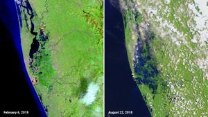 While the ‘before’ image was taken by the Landsat 8 satellite’s operational land imager on February 6, the ‘after’ one was clicked by the multispectral instrument on the European Space Agency’s Sentinel-2 satellite last Wednesday(Photos: Earth Observatory/Nasa) While the ‘before’ image was taken by the Landsat 8 satellite’s operational land imager on February 6, the ‘after’ one was clicked by the multispectral instrument on the European Space Agency’s Sentinel-2 satellite last Wednesday(Photos: Earth Observatory/Nasa)