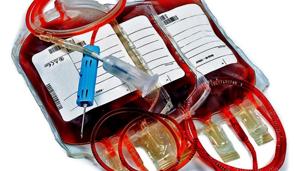Police caught the two accused red-handed on Monday.(HT File) Police caught the two accused red-handed on Monday.(HT File)