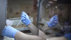 There is a set protocol for sperm banking but there are no guidelines for retrieval from brain-dead patients, which is probably why doctors were reluctant about obliging their demand.(AP) There is a set protocol for sperm banking but there are no guidelines for retrieval from brain-dead patients, which is probably why doctors were reluctant about obliging their demand.(AP)