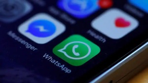 The complainant alleged that the accused posted around 65 vulgar videos in a common WhatsApp group The complainant alleged that the accused posted around 65 vulgar videos in a common WhatsApp group