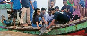 WCAWA members and locals from Dahanu release one of the two Olive Ridley Turtles into the sea near Dahanu.(HT) WCAWA members and locals from Dahanu release one of the two Olive Ridley Turtles into the sea near Dahanu.(HT)
