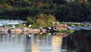 The Mula-Mutha river which passes through the city is one of the 302 polluted rivers of the country.(HT/PHOTO) The Mula-Mutha river which passes through the city is one of the 302 polluted rivers of the country.(HT/PHOTO)