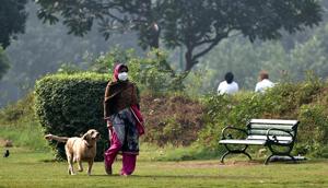 A woman takes her pet dog for a early morning walk in a park in New Delhi.(HT FILE PHOTO) A woman takes her pet dog for a early morning walk in a park in New Delhi.(HT FILE PHOTO)